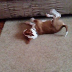 Meet your Posher, Angie